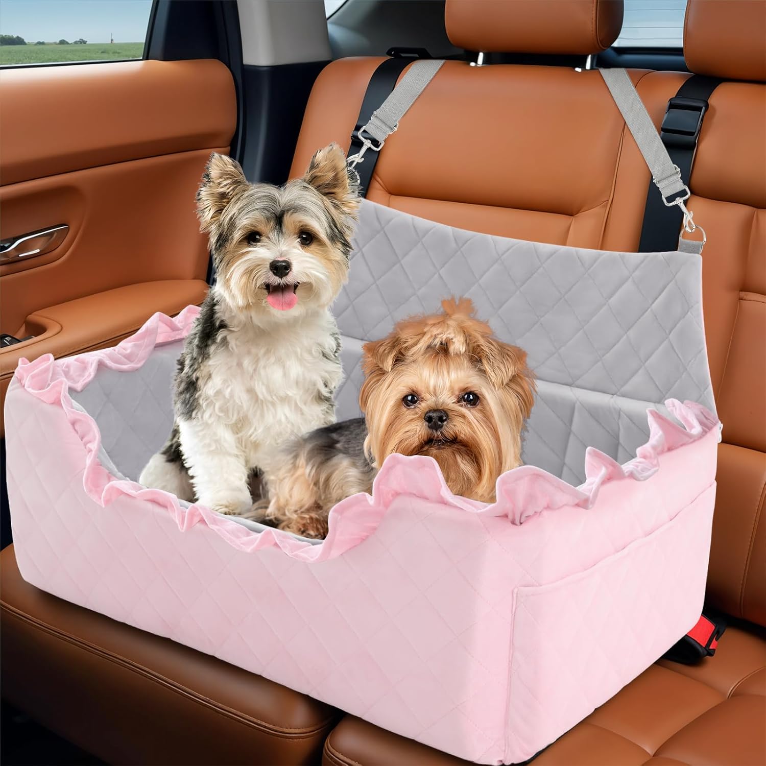 Dog Booster Car Seat for Small/Medium Dogs - Memory Foam Elevated Cushion - Fully Detachable and Washable Pet Portable Car Seat with 2 Clip-On Safety Leashes