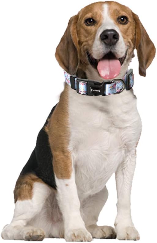 Dog Collar and Leash Set for Daily Outdoor Walking Running Training, Floral Spring Design for Medium Boys Girls Dogs Cats Pets, M-Up to 45LBS